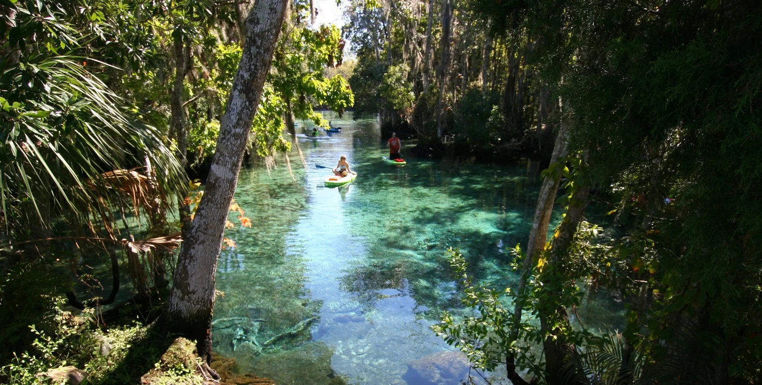      

 
    BENEFITS OF ECOTOURISM FROM PROFESSOR EMERITUS, DR. STEPHEN HOLLAND   November 26, 2018   Professor Emeritus Stephen Holland  was invited to do a presentation&nbsp; on the 'Benefits of Ecotourism' at the Citrus County (Florida) forum on 