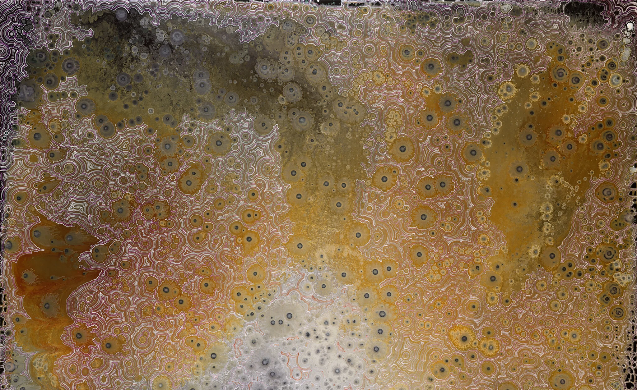 Field, 2020 (detail)