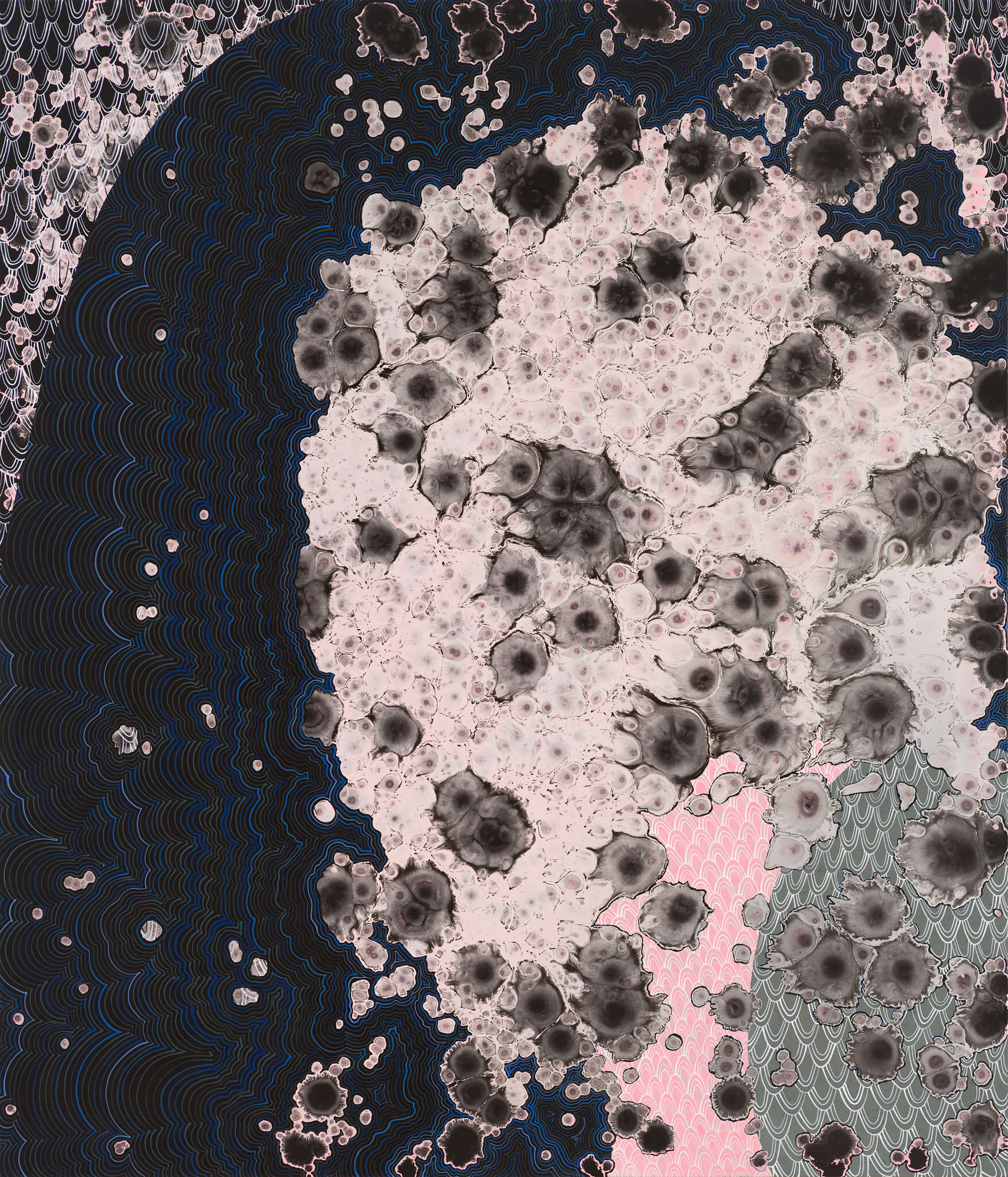 Serrulata 3, 2020