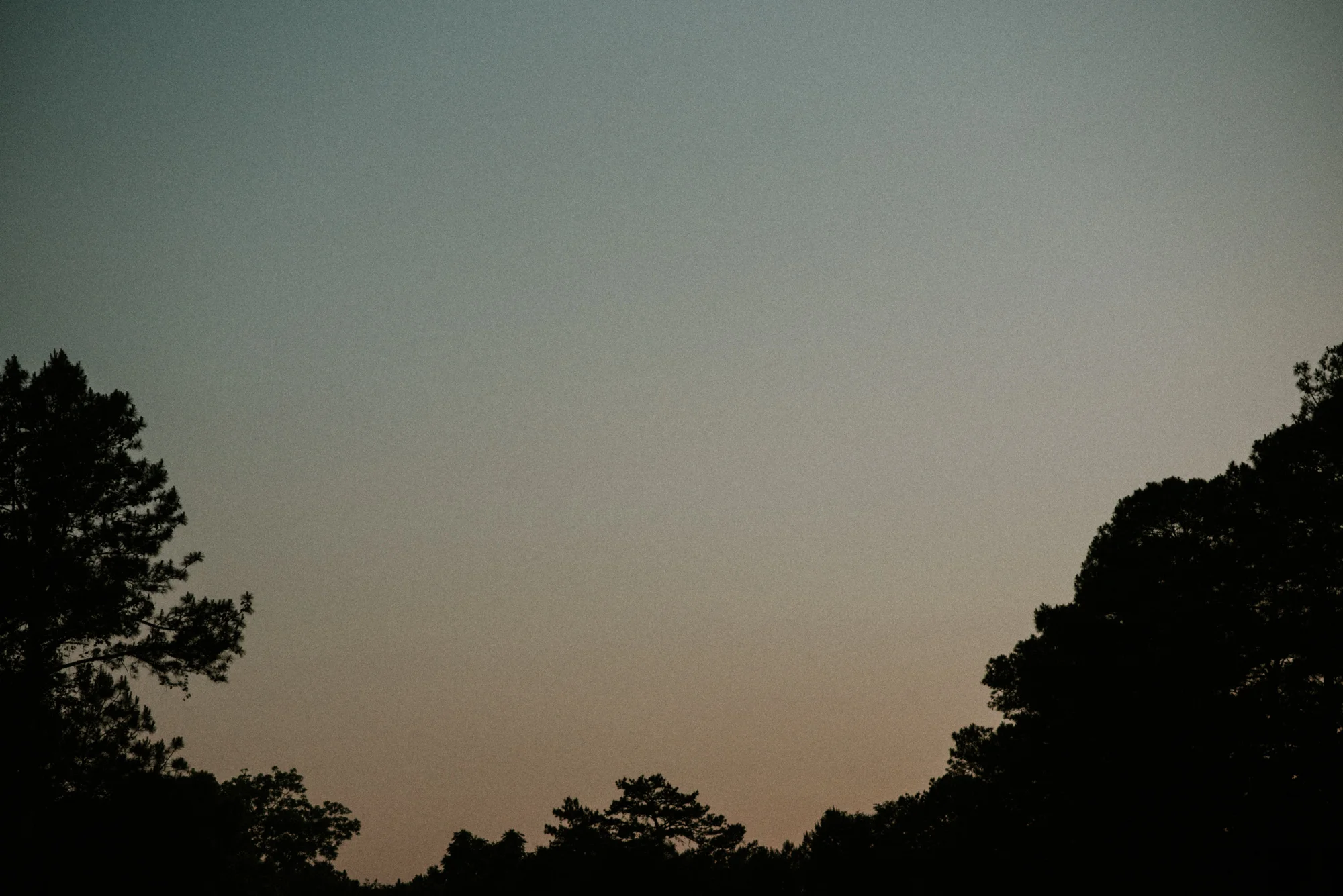 DSC_5064.jpg