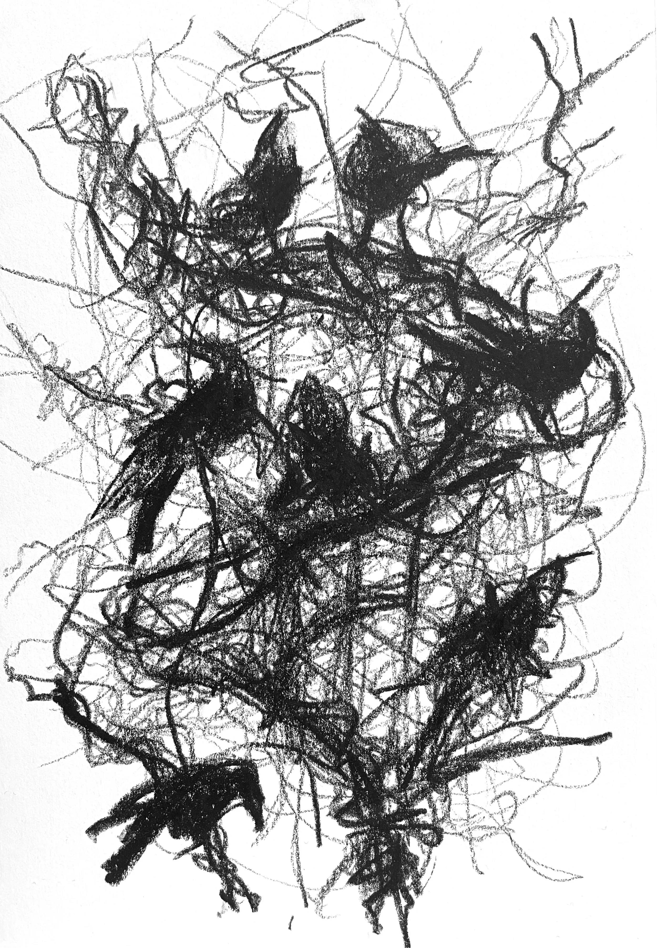 PatsyHansBirdsinBranches.jpeg
