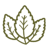 Ingredient Icons-11.png