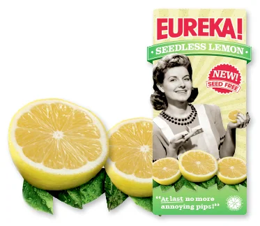 Eureka_Seedless_Lemon.jpg