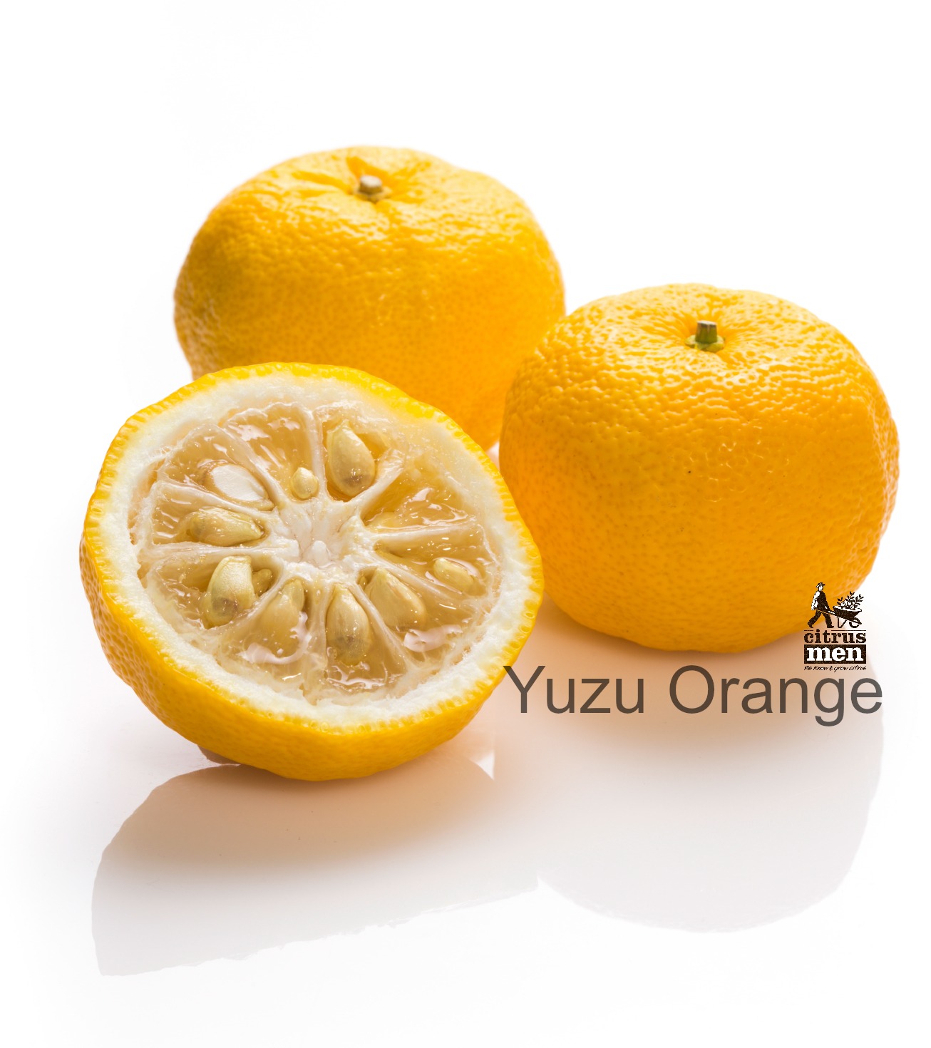 Yuzu