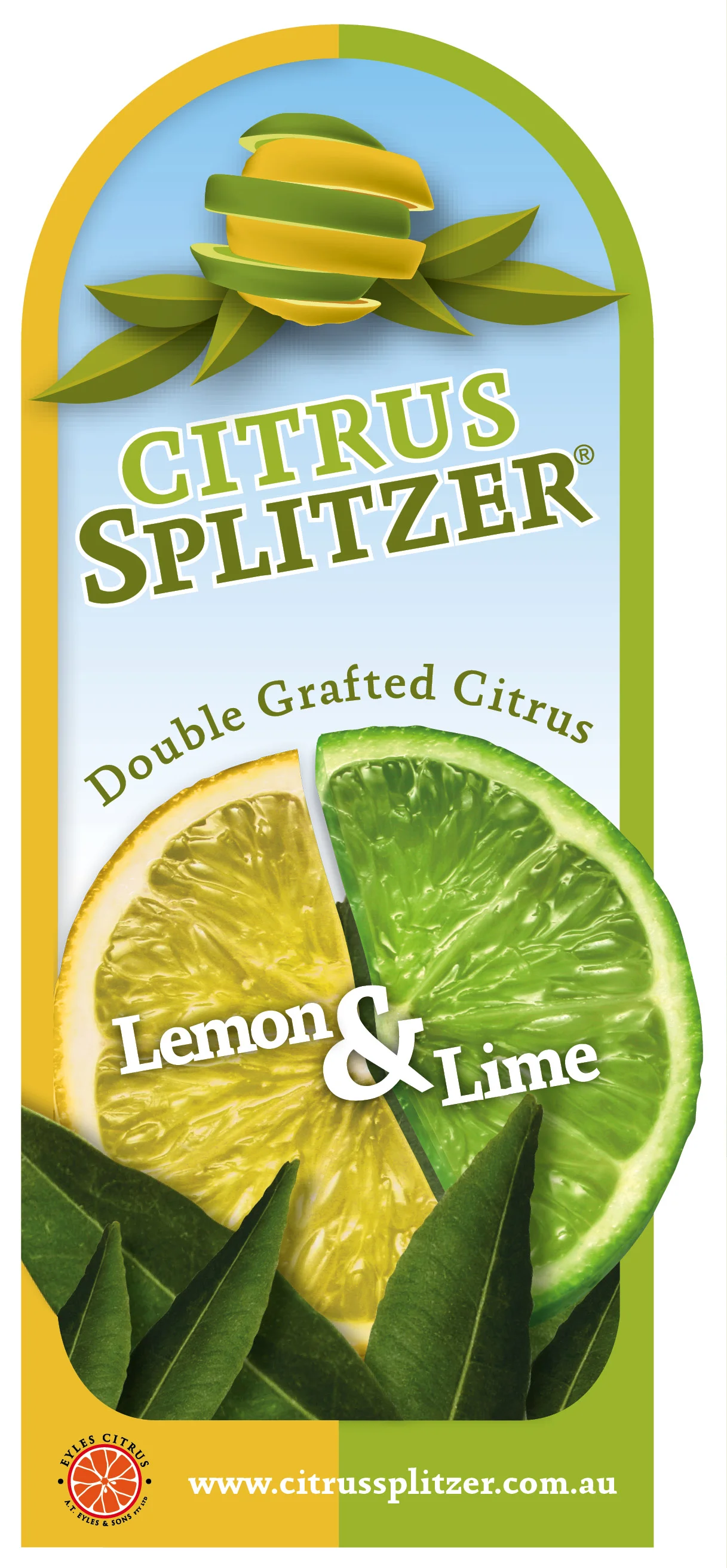 ATE077 Lemon & Lime.jpg