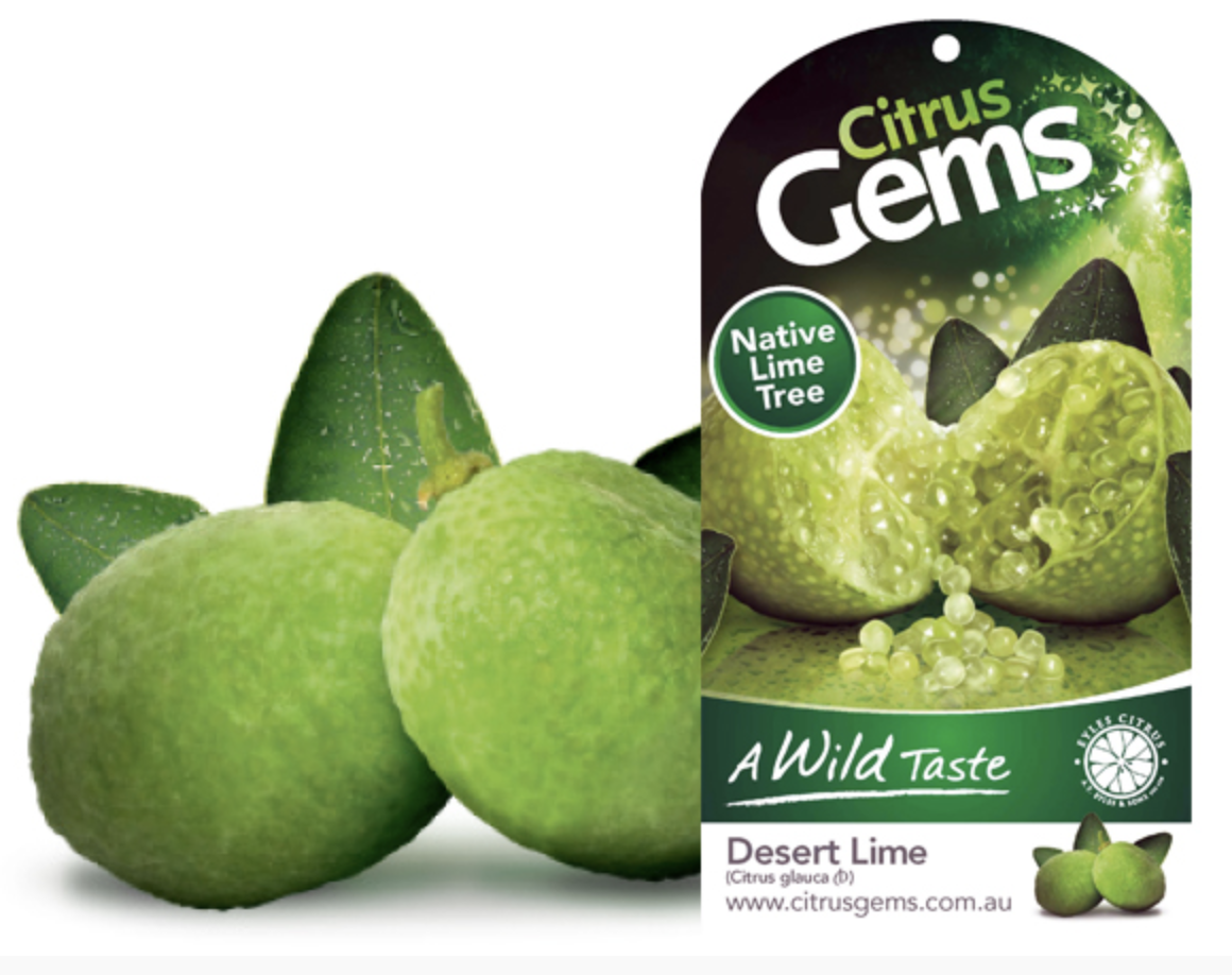 Desert Lime .png