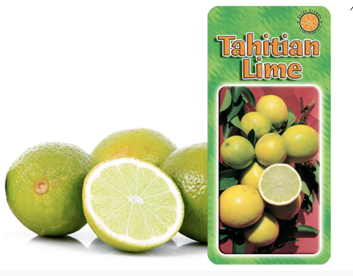 Tahiti Lime .png