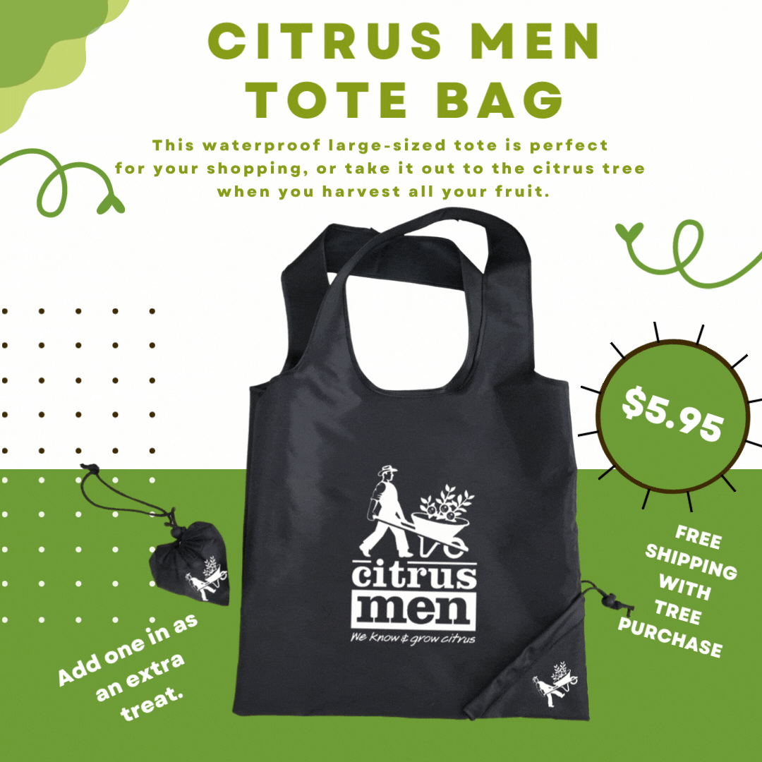 tote bag waterproof large size carry all — Citrus Men