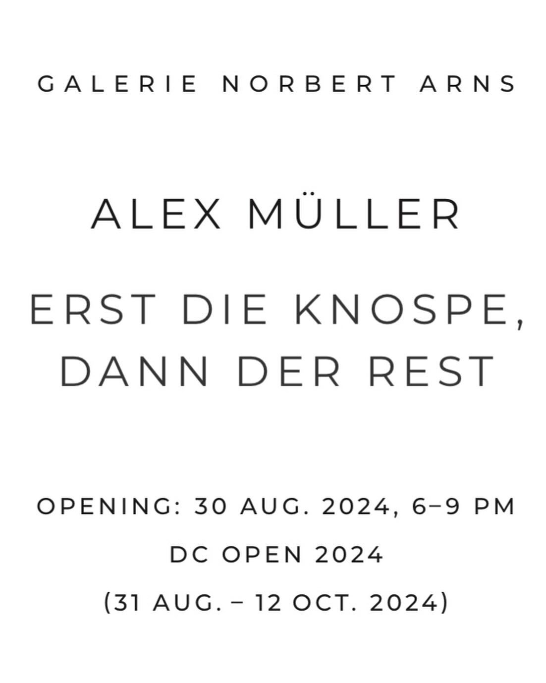Alex M&uuml;ller: ERST DIE KNOSPE, DANN DER REST (31.8.-12.10.2024) #alexm&uuml;ller #dcopen #galerienorbertarns @alexmueller_now Text: @dominicveichler