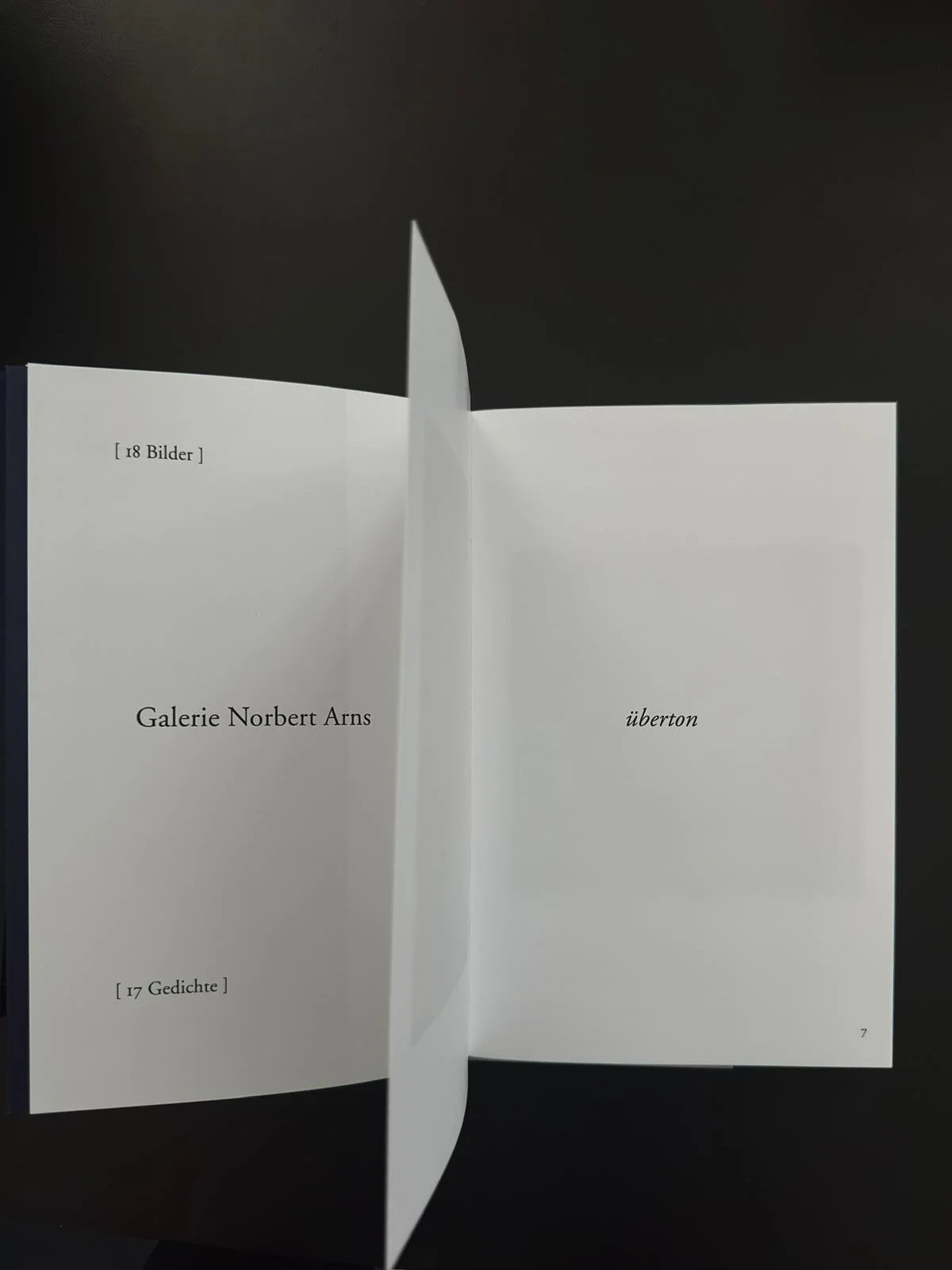 Titelseite Nadine Schemmann Esther Kinsky Rauhnächte