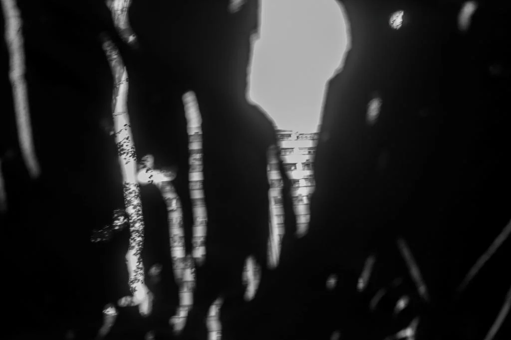 DSC_7966.jpg
