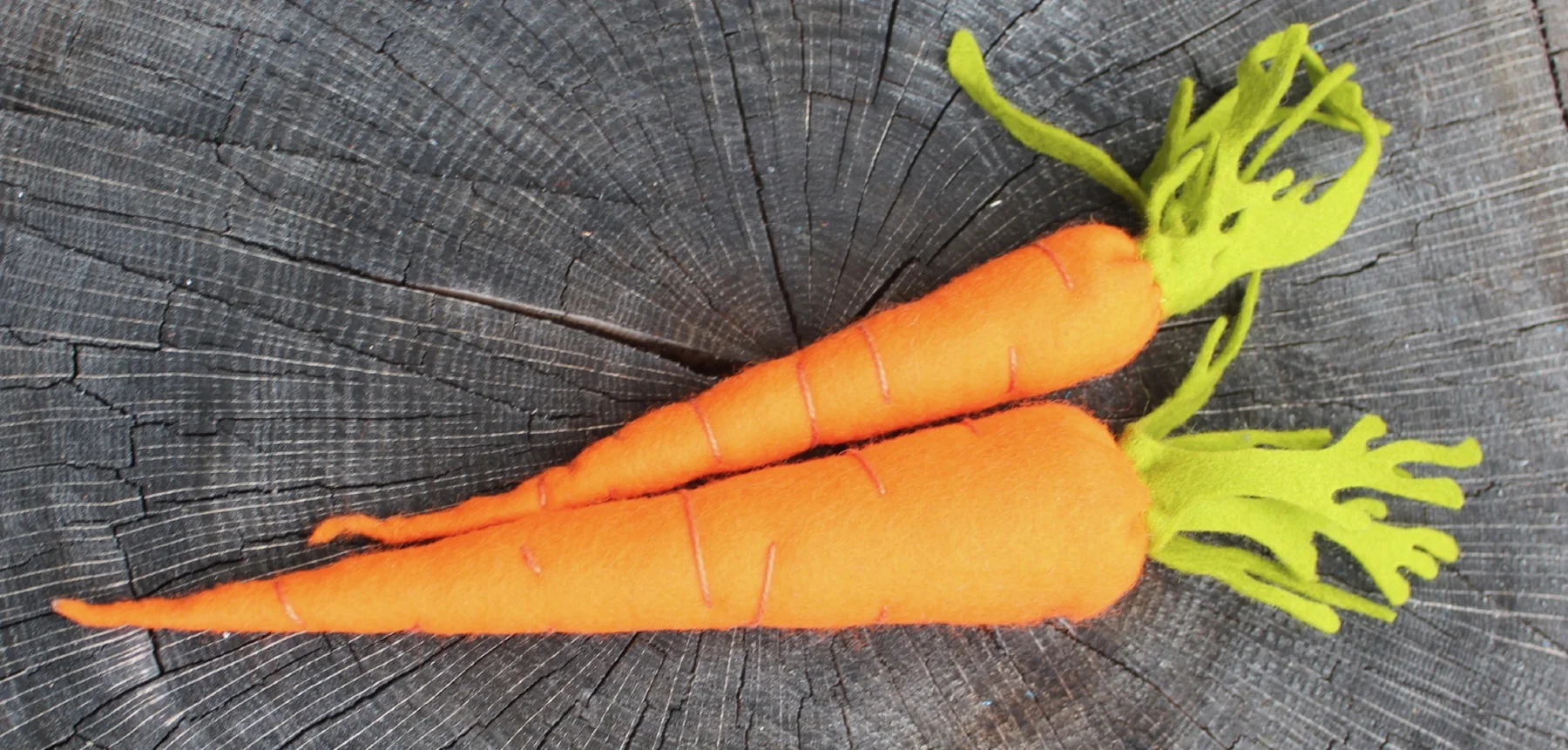 Carrots on wood 2.jpg
