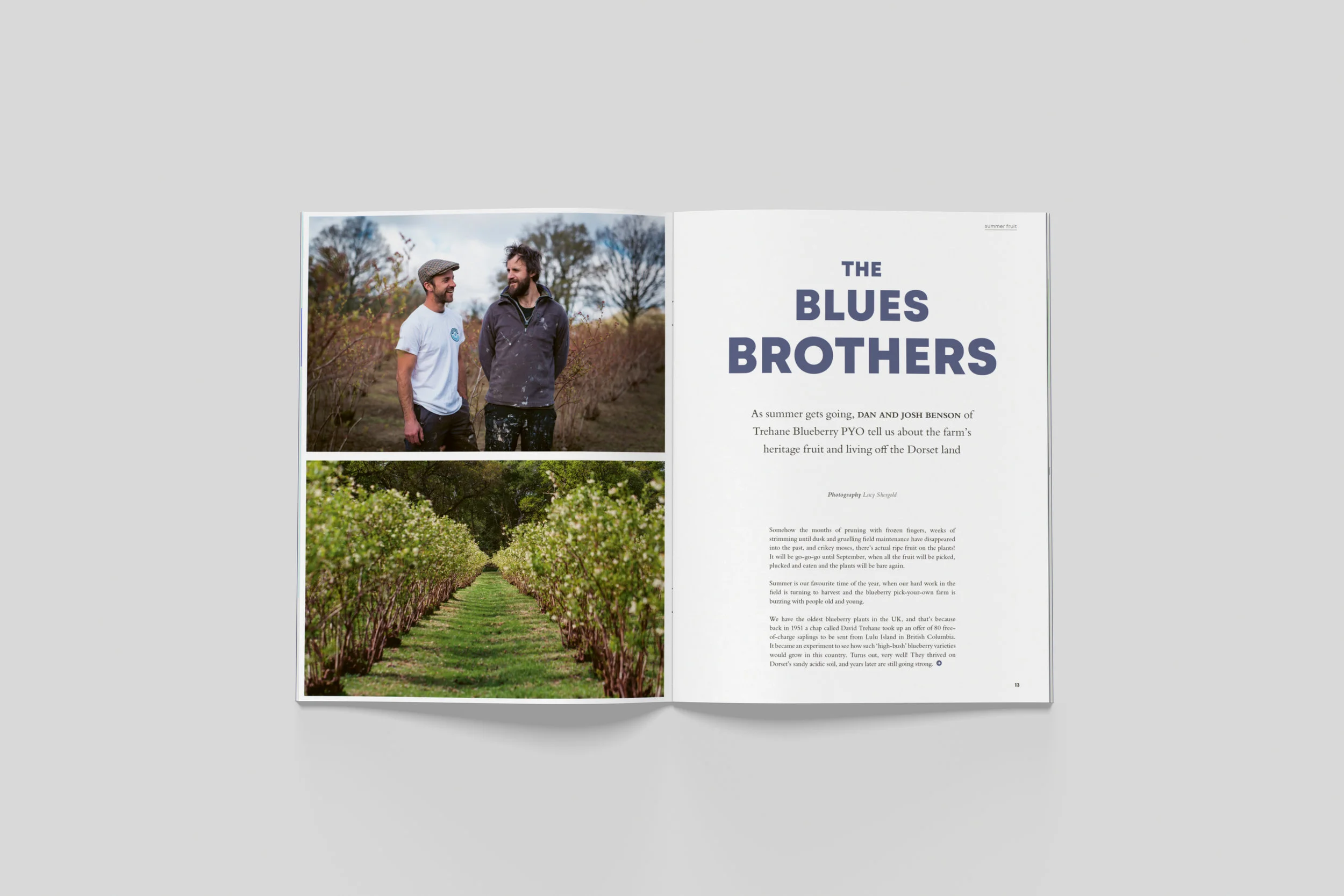 BloomIssue3_spreads_02.jpg