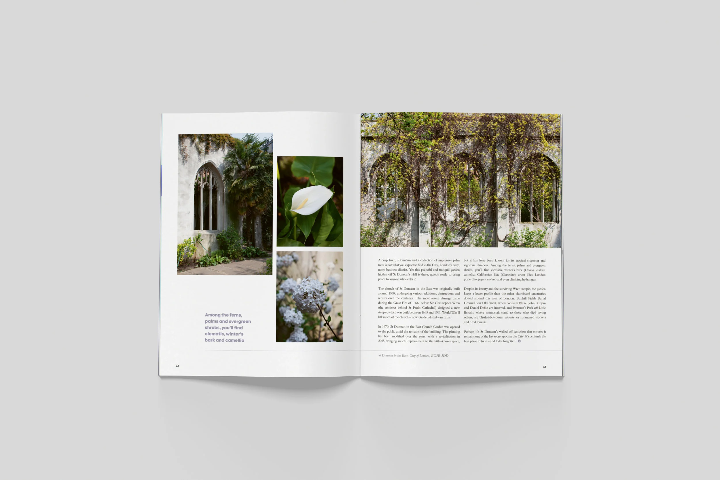 BloomIssue3_spreads_05.jpg