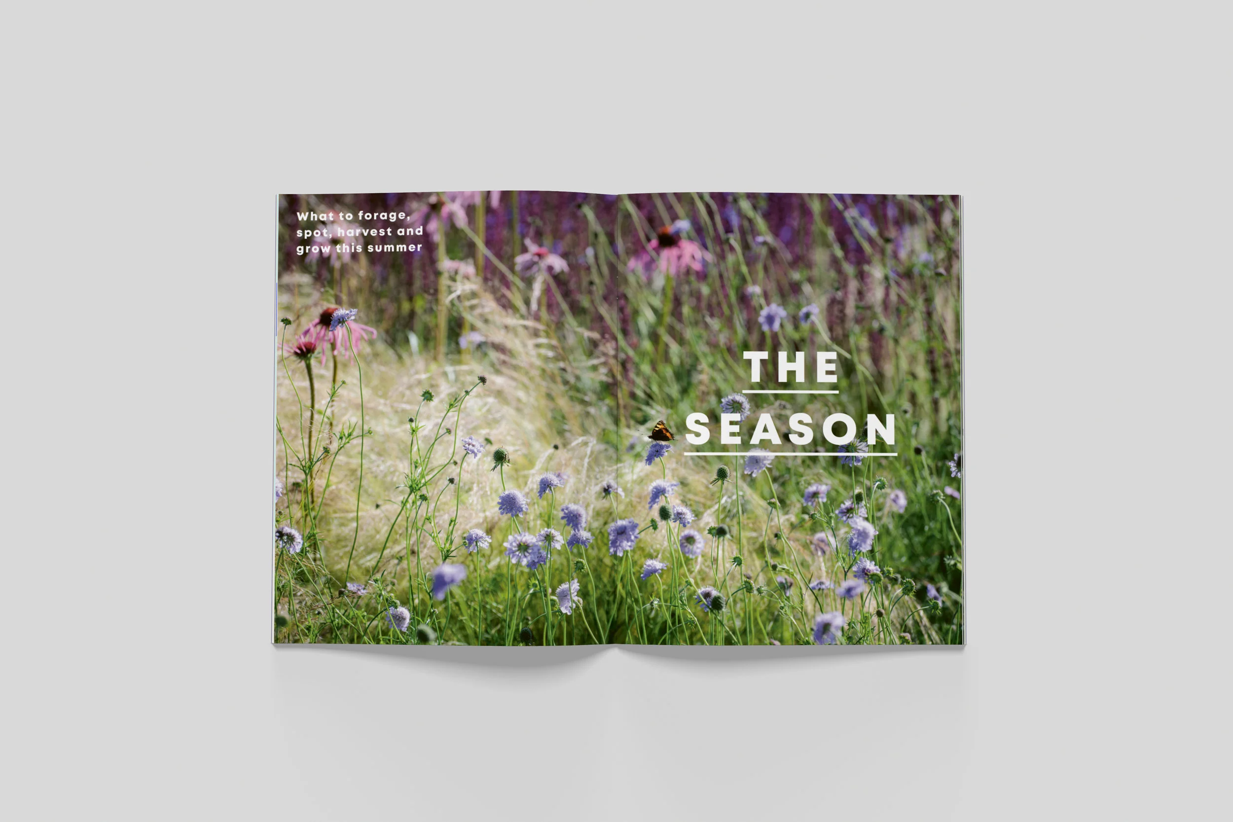 BloomIssue3_spreads_08.jpg