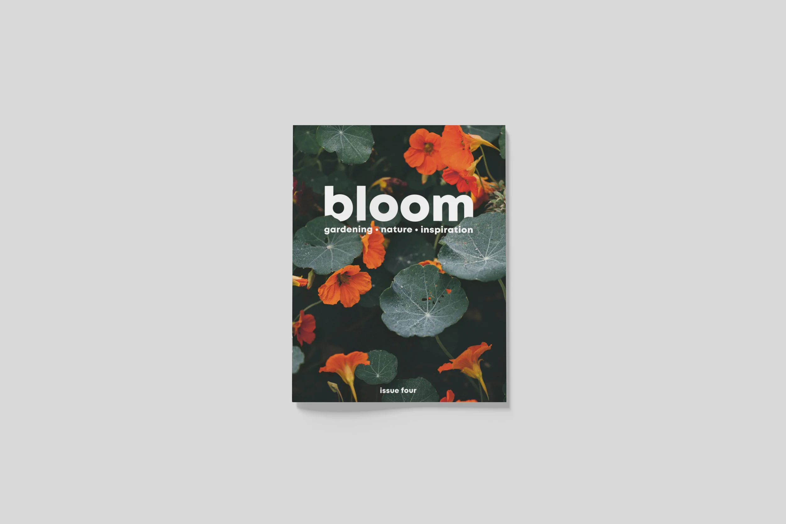 BloomIssue4_front_01.jpg