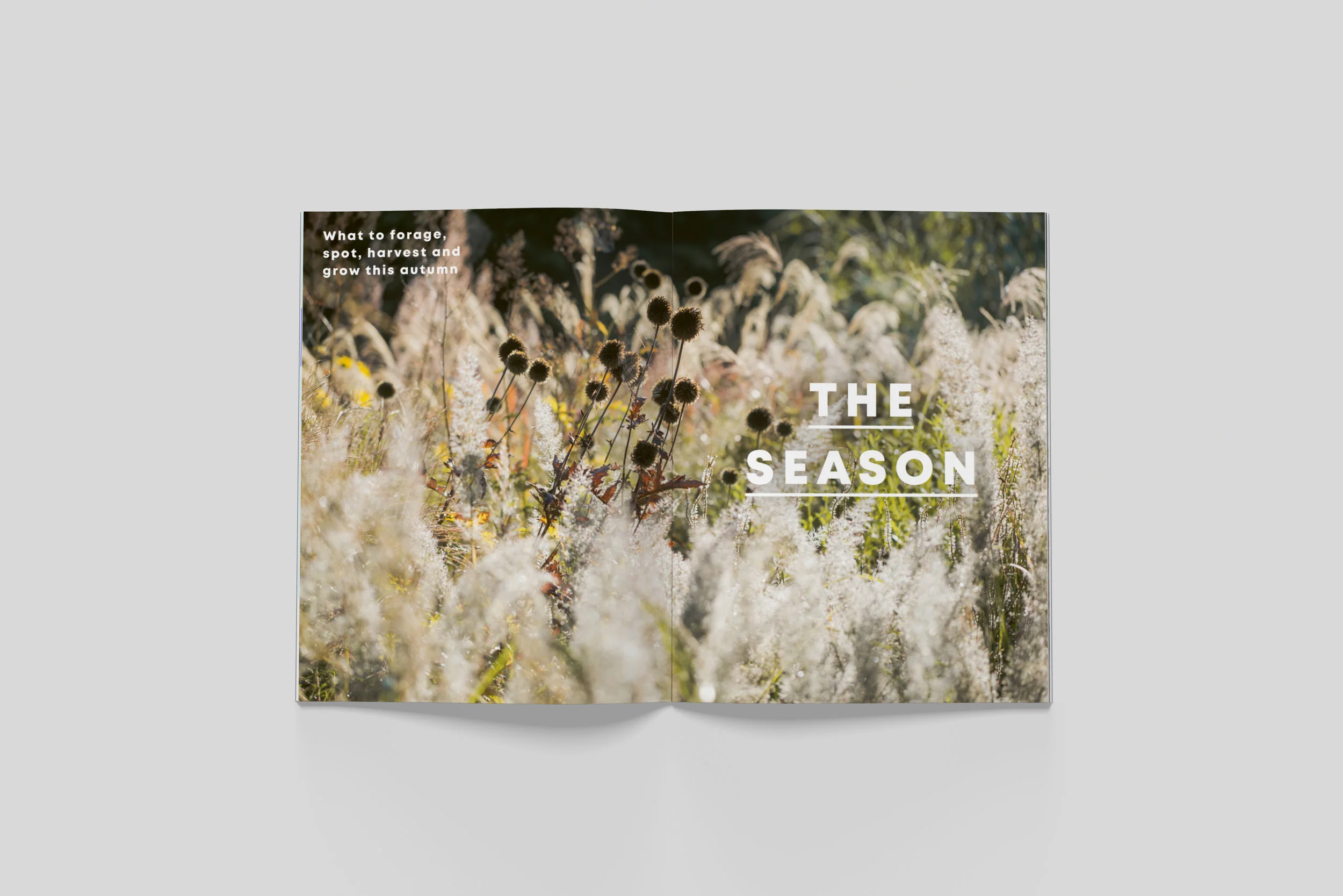 BloomIssue4_spreads_01.jpg