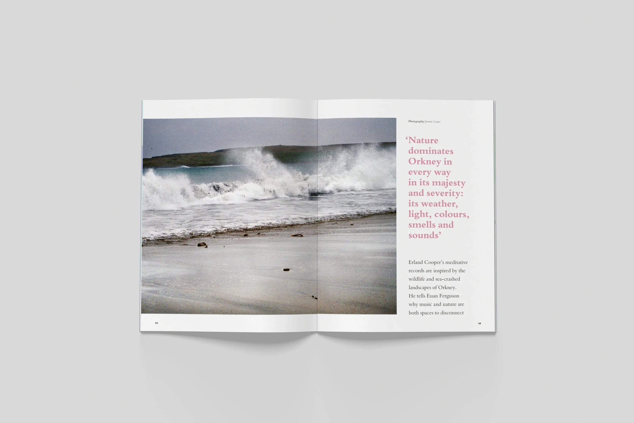 BloomIssue4_spreads_05.jpg