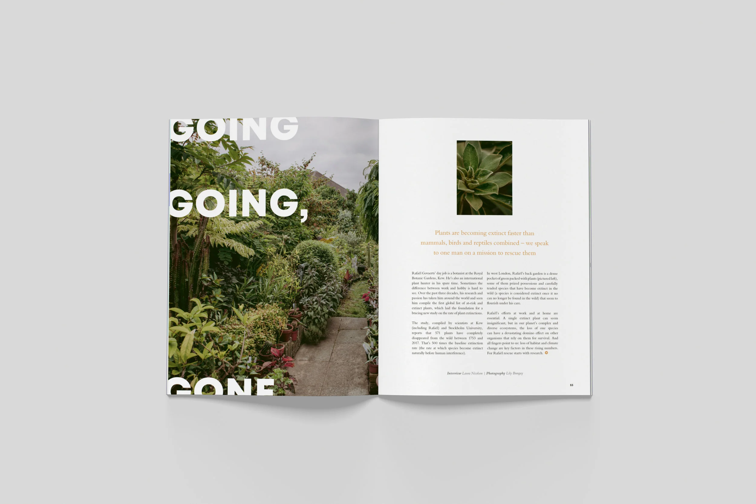 BloomIssue4_spreads_06.jpg
