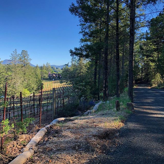 Spring Mountain Rd, which passes through several wineries and vineyard properties in Saint Helena was starting to create a dust issue for the folks at Sherwin Family Vineyards. By utilizing Dust-Off on this section of road they will now be dust free 