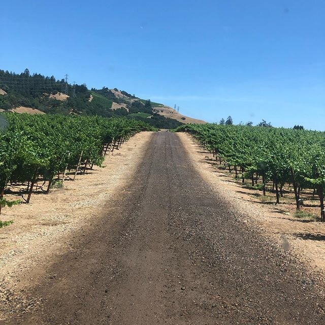 Dust-Off is back in full swing! If your home or place of business could benefit from a dust free summer send us a message for product details and scheduling.