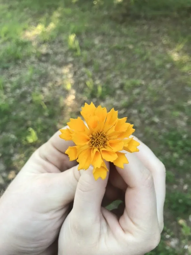 Seven Ways My Friends Cared for Me when I went Through a Miscarriage