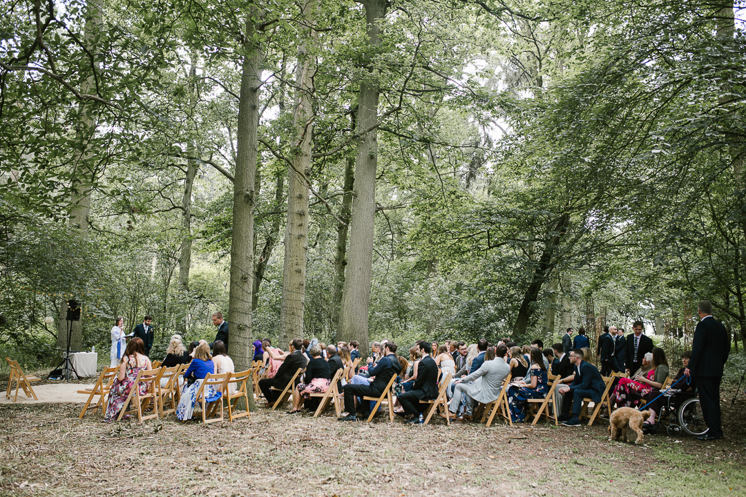 guests wait in the woodland area at Wildwood Bluebell for the outdoor ceremony to begin