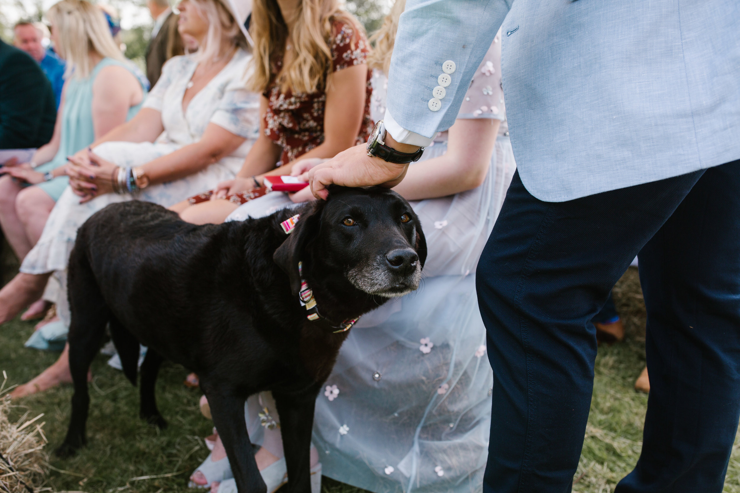 Tipi wedding, teepee wedding, tipi wedding photographer somerset wedding, somerset wedding photographer, cotswolds wedding photographer, DIY wedding, fun wedding, birmingham wedding photographer -143.jpg