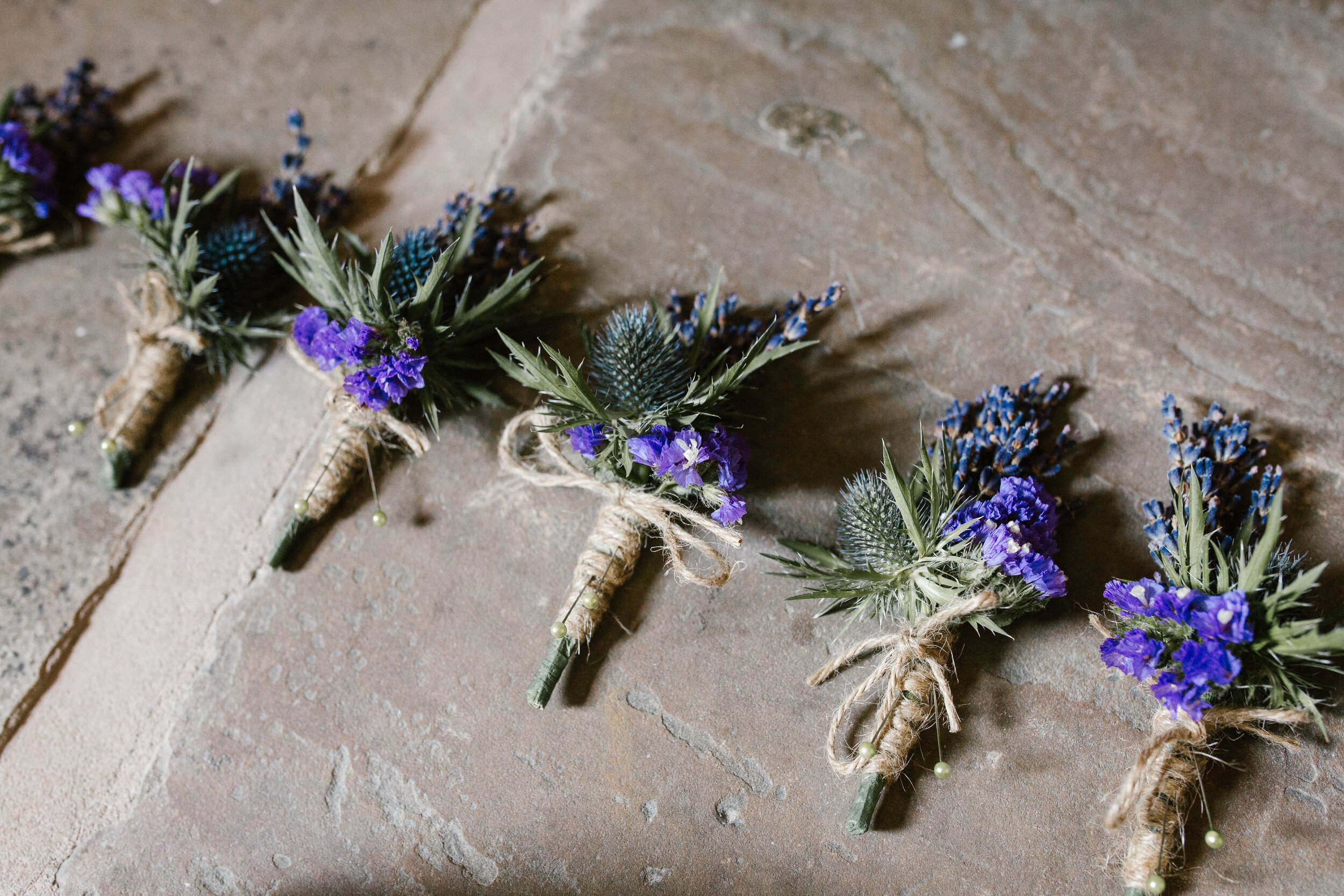 purple thistles buttonholes for grooms wedding