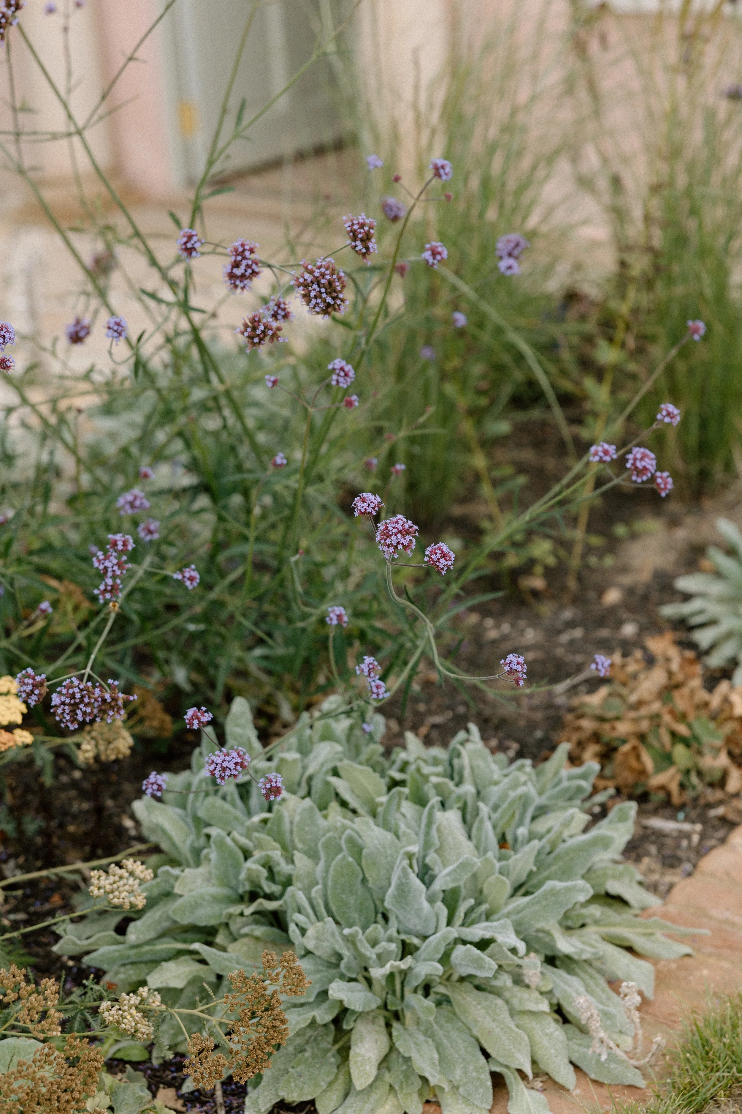 Kin House Wedding photographer, Kin House Pool-48.jpg