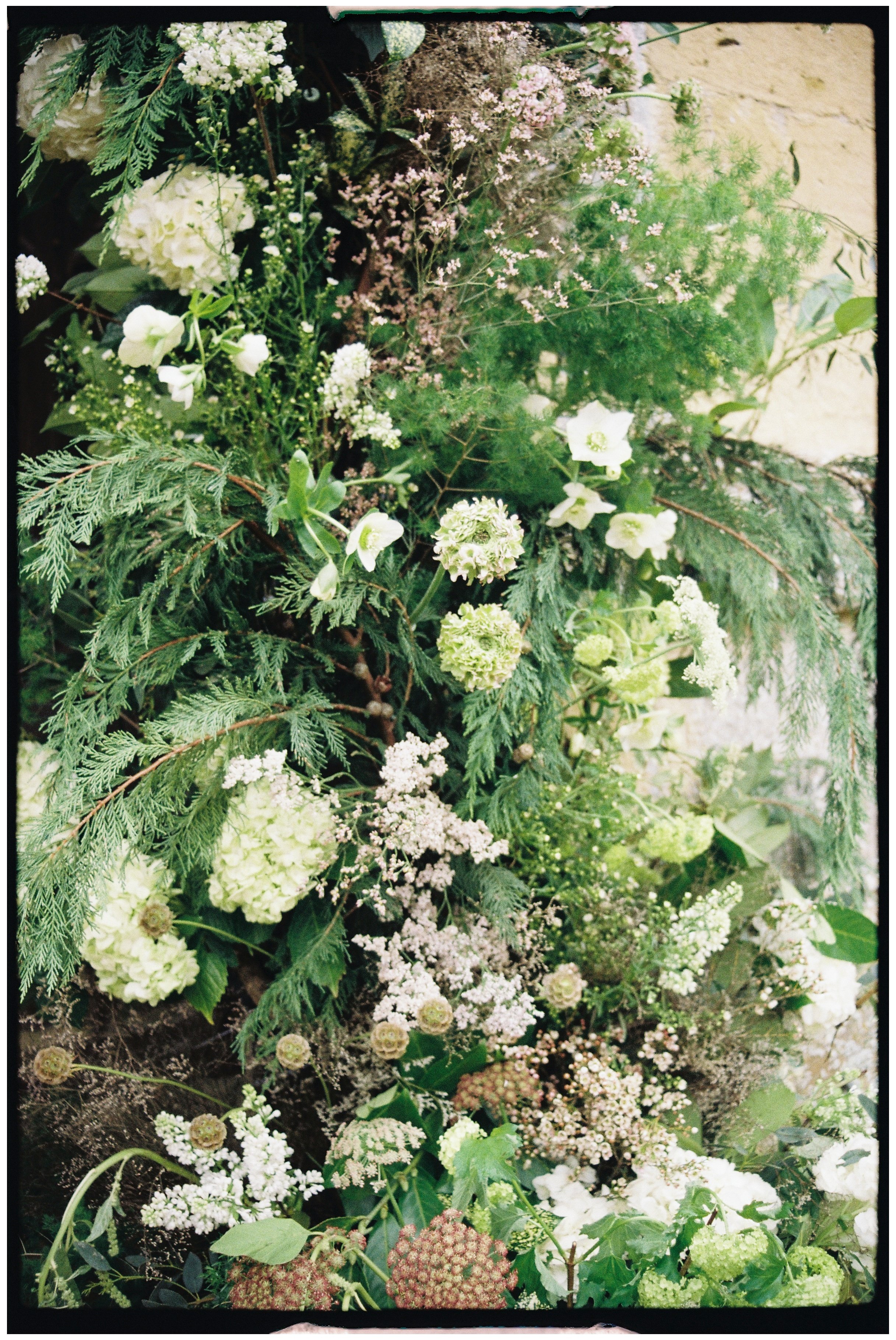 A close up of wild flowers in a flower arch