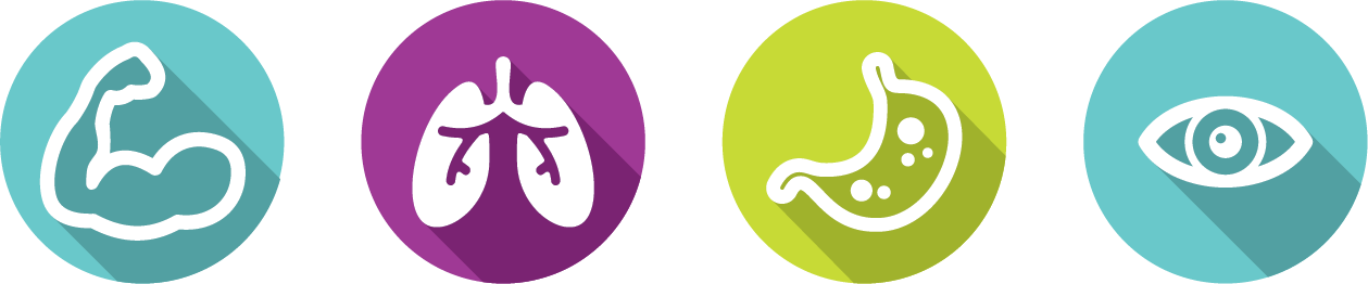 4 icons.png
