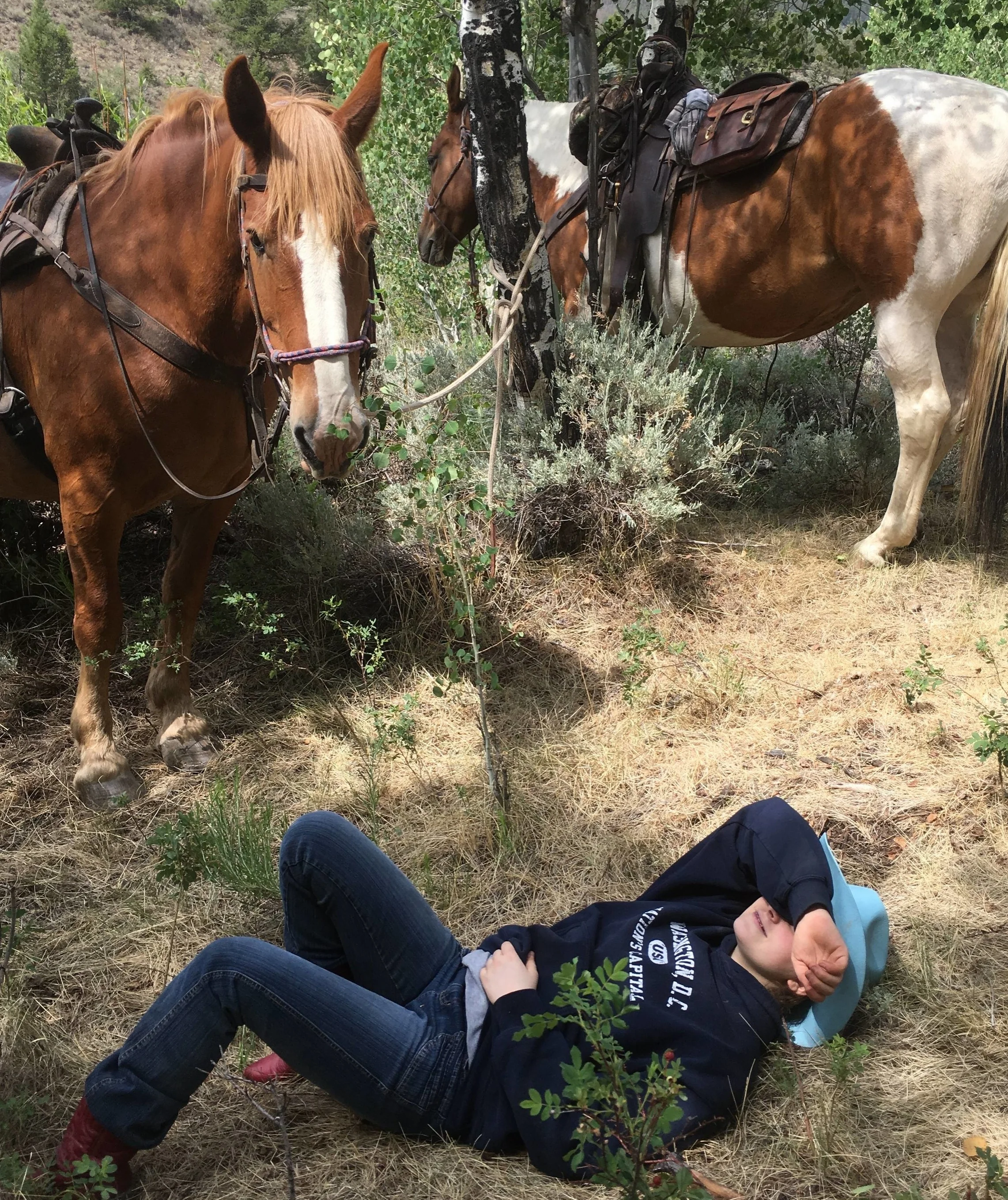 Raven Rider Stables
