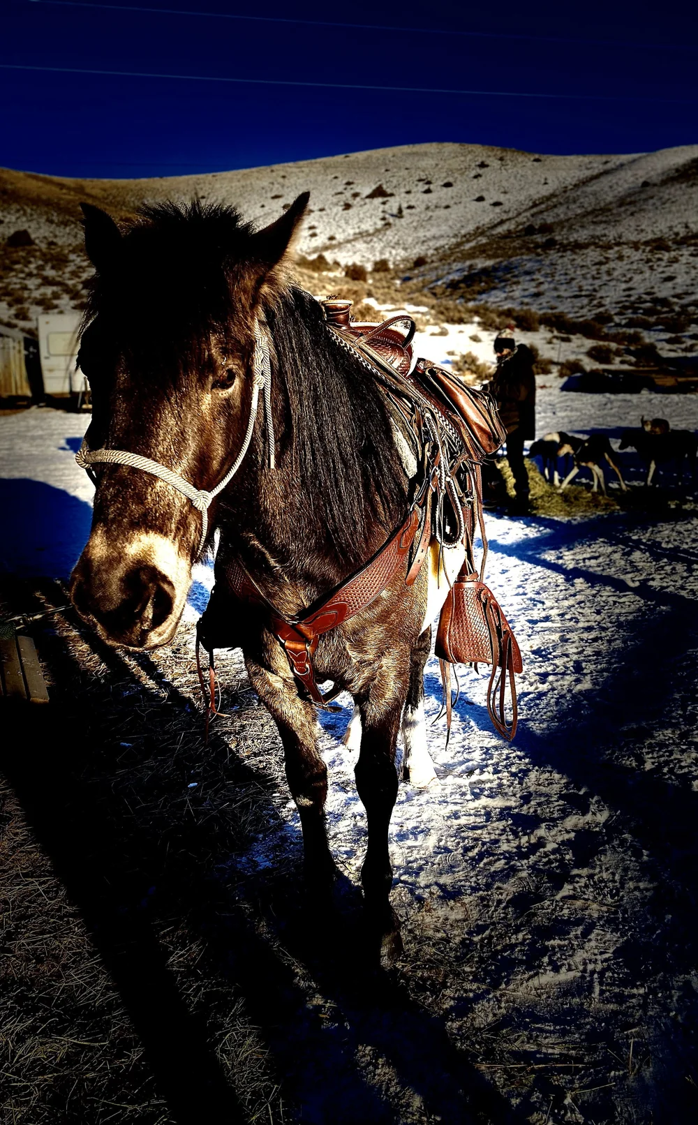 Raven Rider Stables
