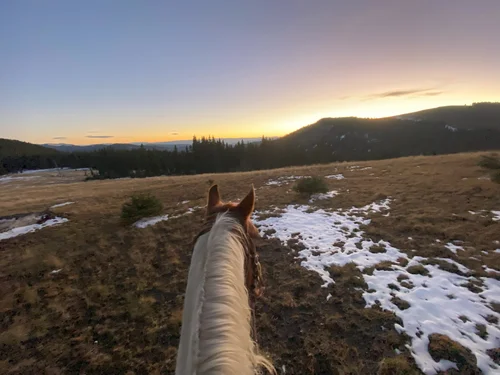 Raven Rider Stables