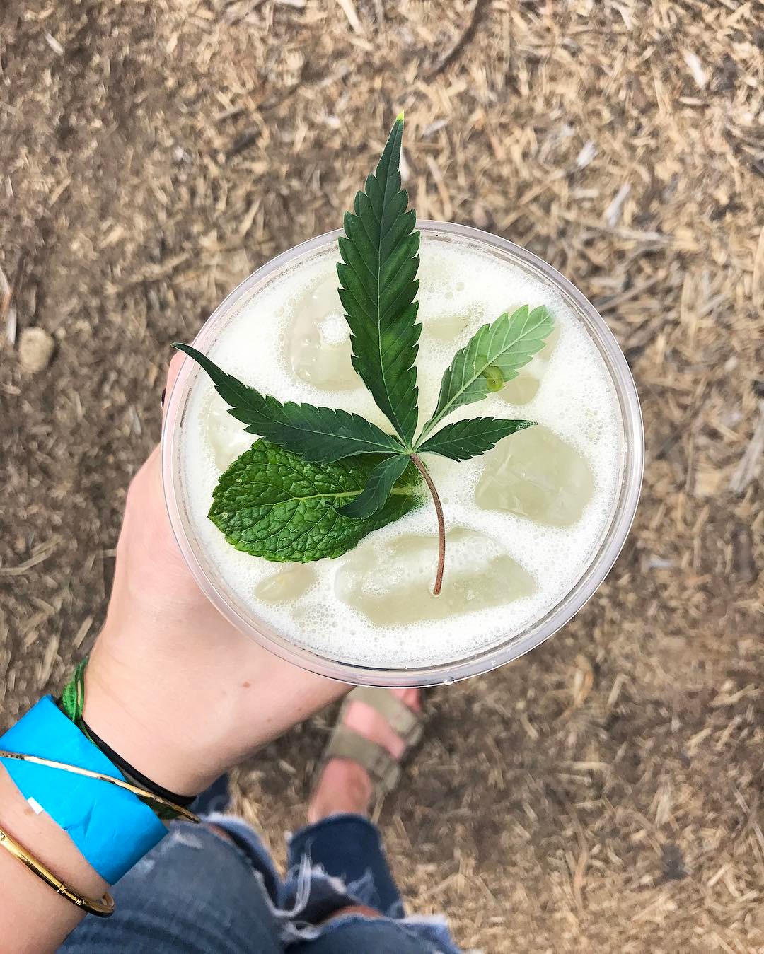 cannibis6.jpg
