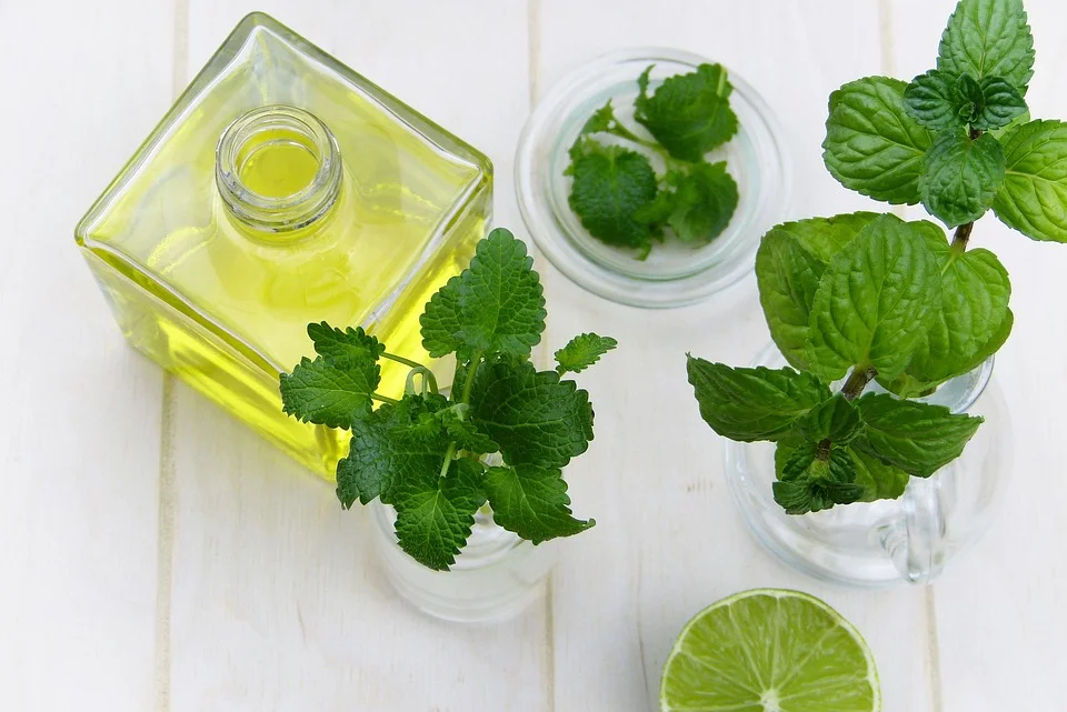 Peppermint Essential Oils.jpg