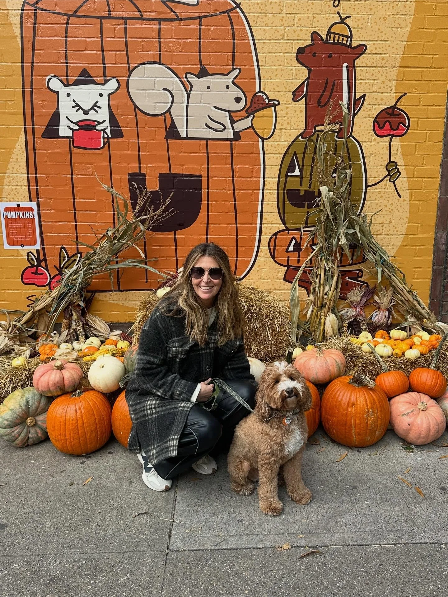 I interrupt our regular programming to share some NYC Halloween stoops. 

Quite the change from my days of Halloween thirst traps 😉 

#halloween #nyc #newyork #stoop #newyork #newyorkcity #uppereastsidenyc #manhattan #halloweencontest