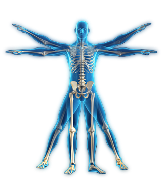 A whole, mind-body approach to functional movement.
