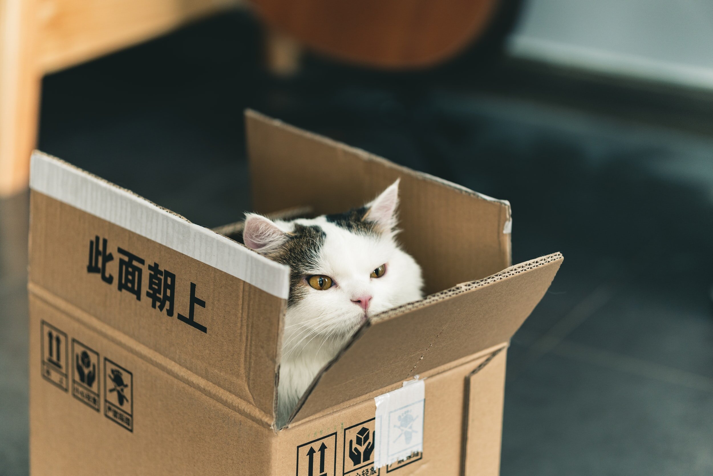 unsplash-image-W-ypTC6R7_k.jpg