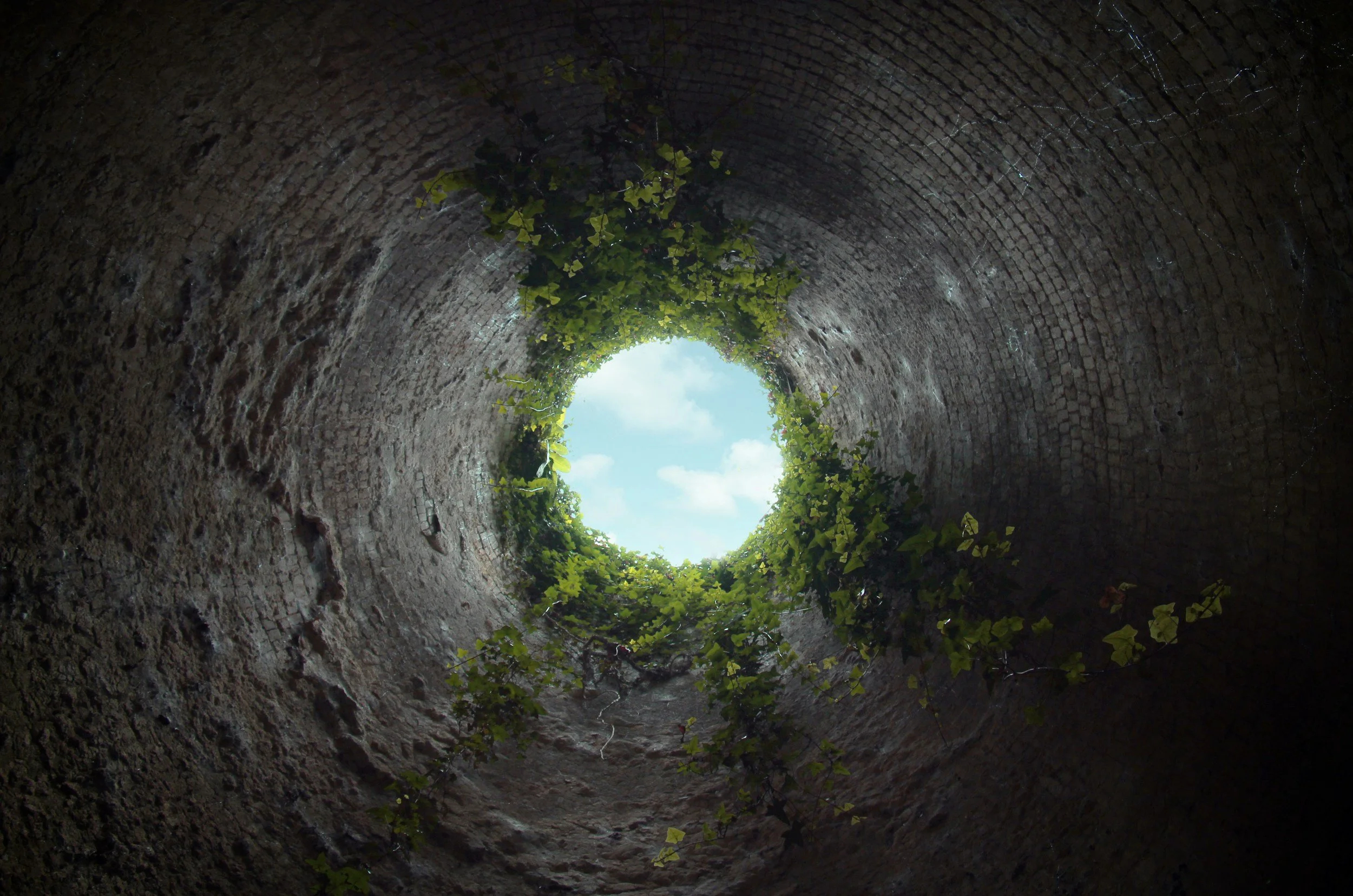 Beyond the Rabbit Hole: A Lesson in Presence
