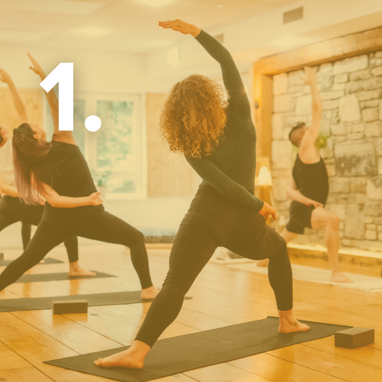 The Yoga Root