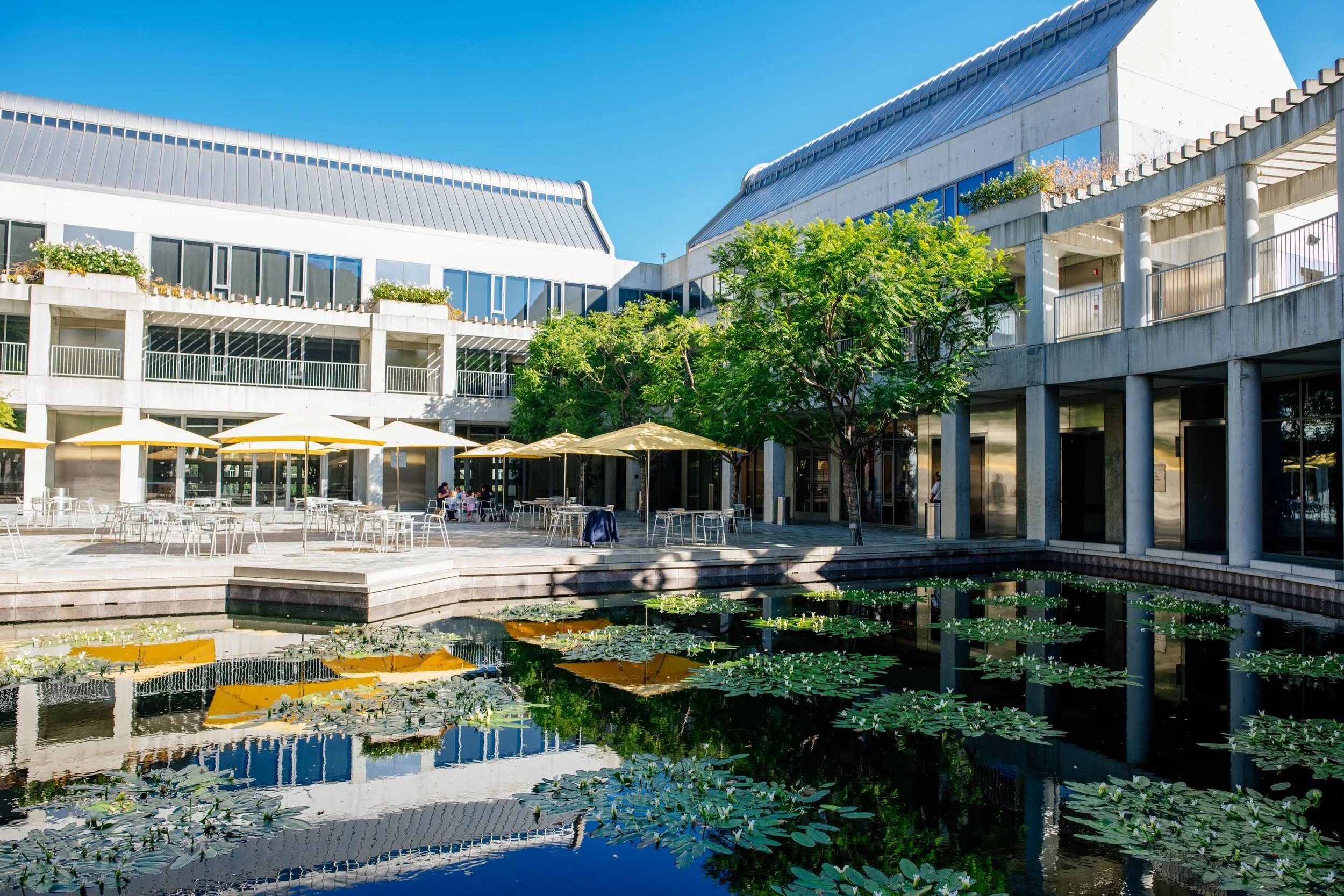 Skirball Photo 2.jpg