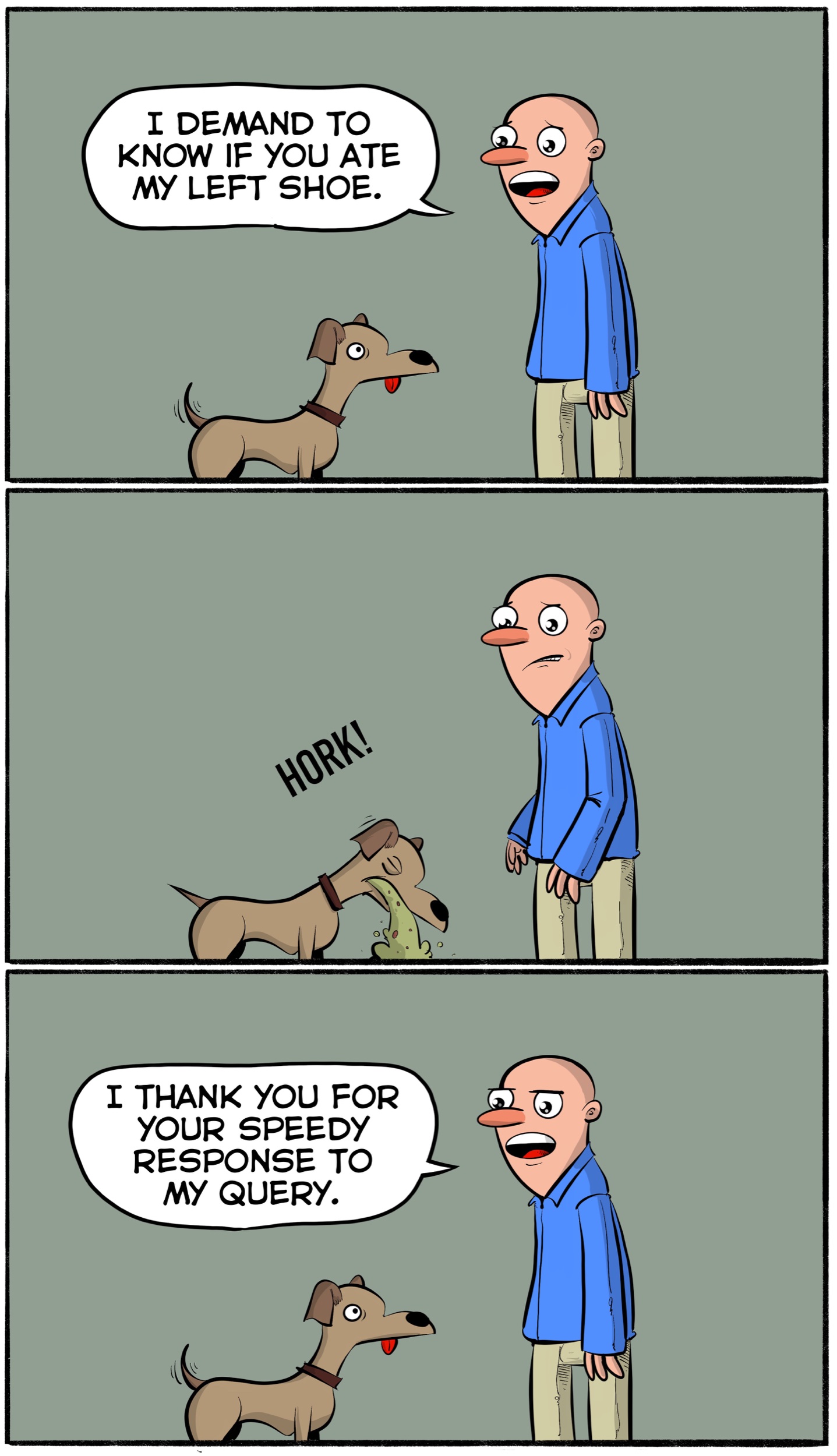 public.jpeg