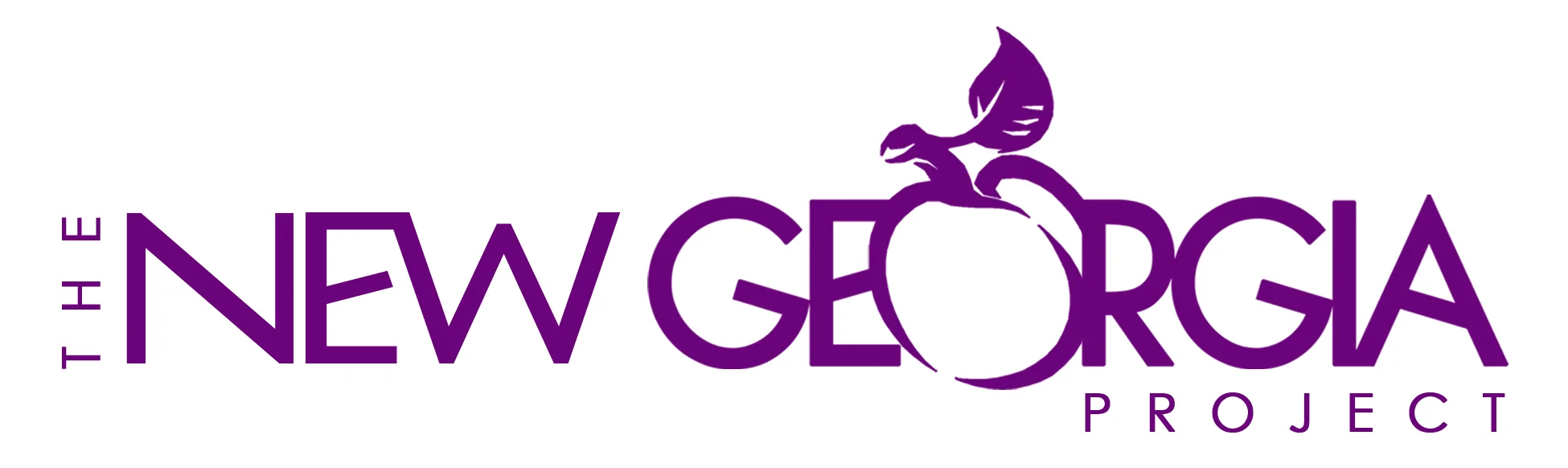 new georgia project.jpg