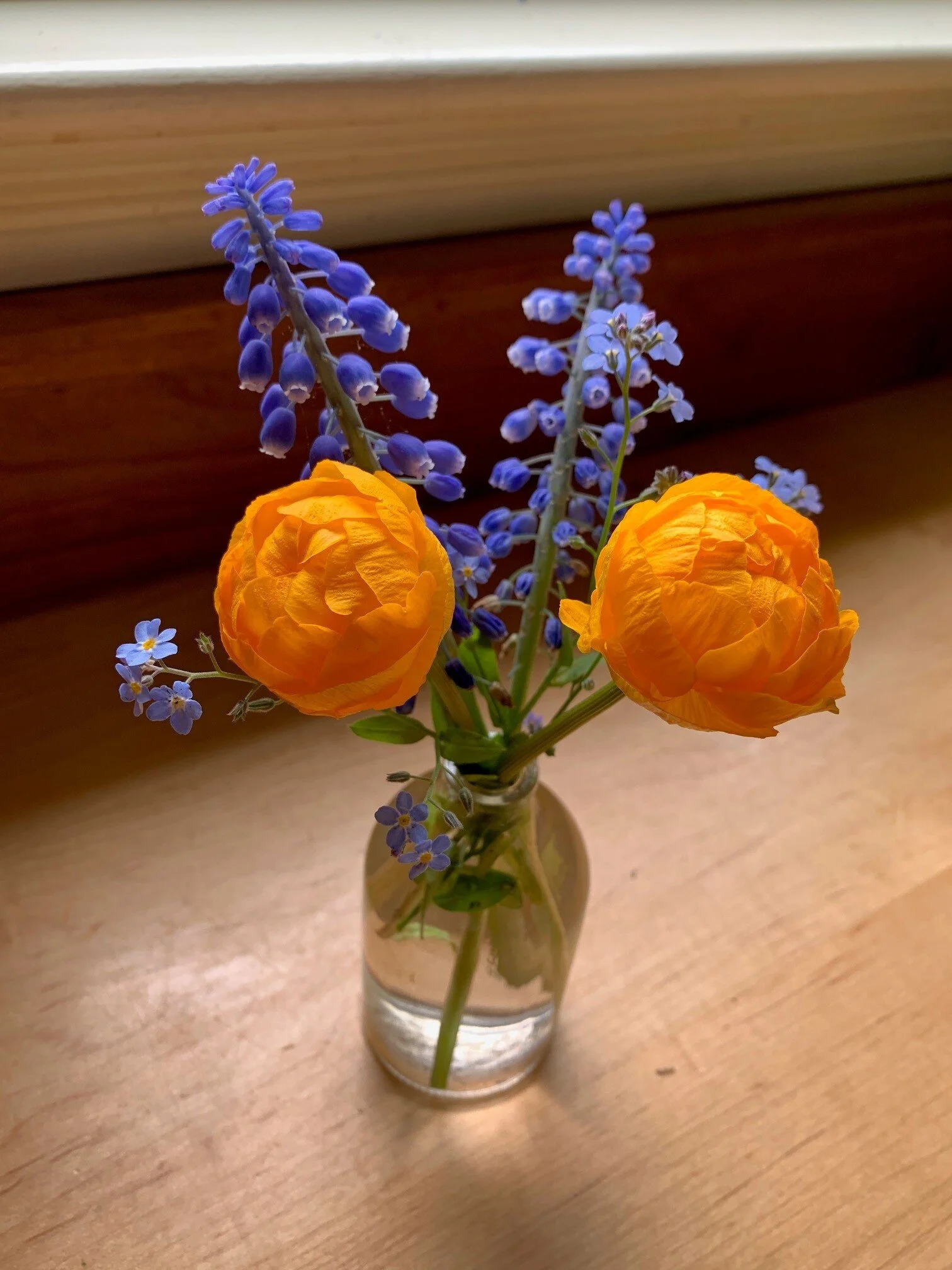 Spring Blooms