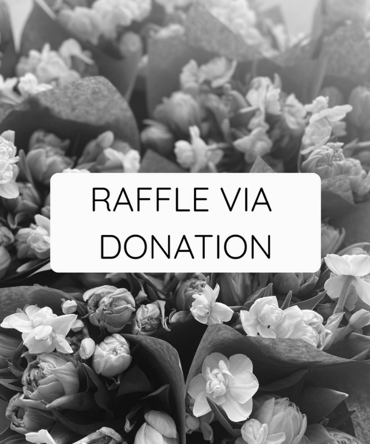 Raffle via donation