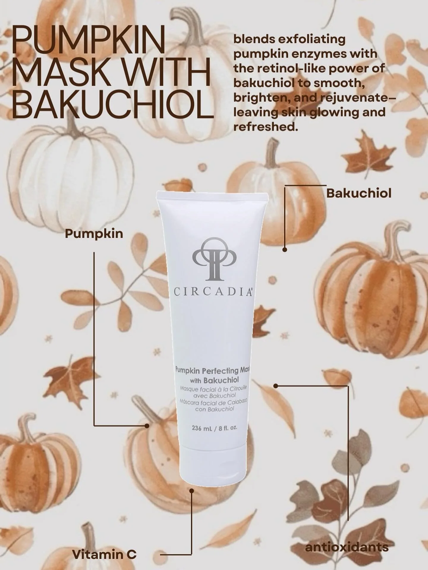 Fall Facials &gt; Pumpkin spice lattes 😉

#FallFacial #PumpkinSeason #GlowingSkin #SelfCareSeason