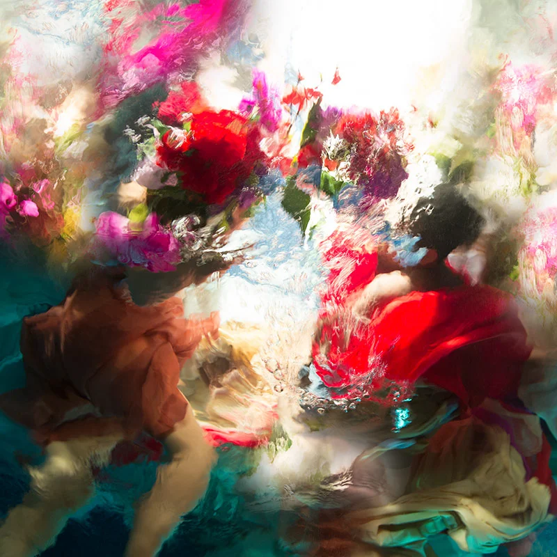 Pink Harmony by Christy Lee Rogers