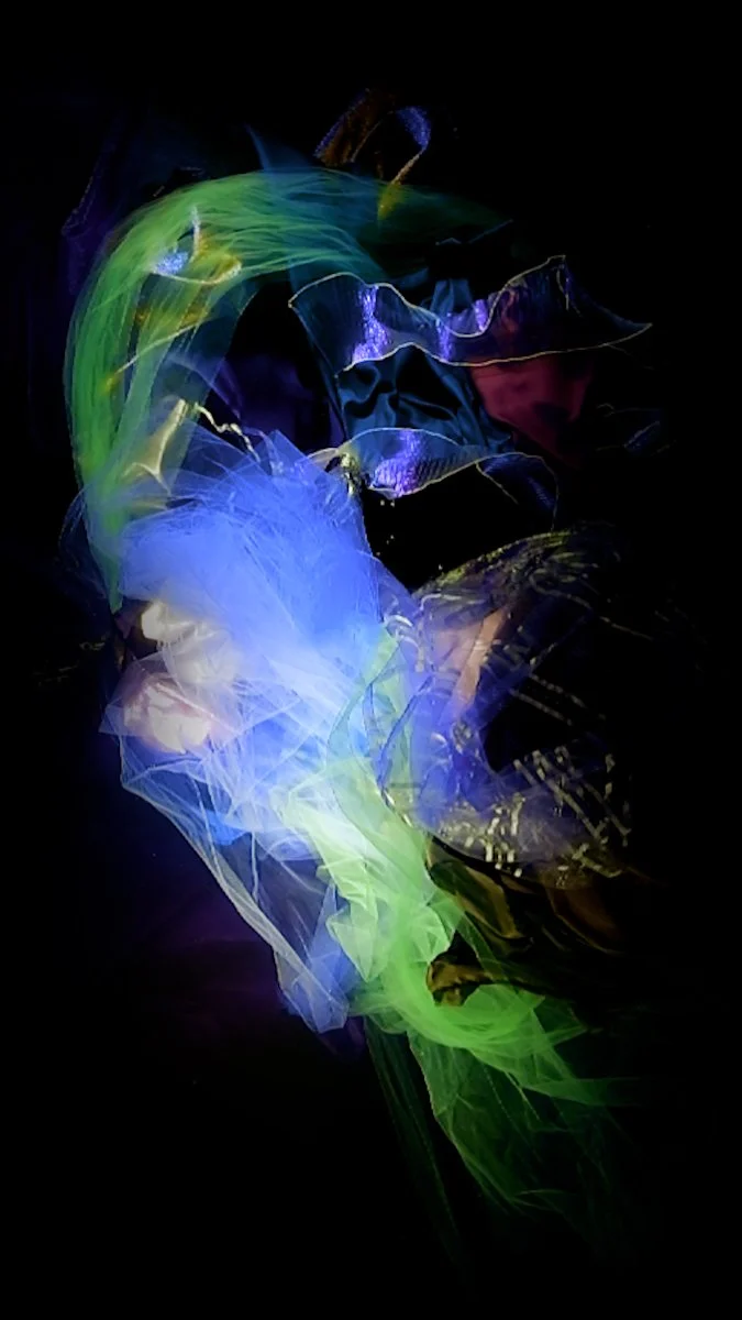 Christy Lee Rogers’ latest immersive video work, Bloom, is now available for acquisition as a fine art video installation. A departure from her figurative style, Bloom explores the pure abstraction of underwater light, color, and form. Shapes pulse a